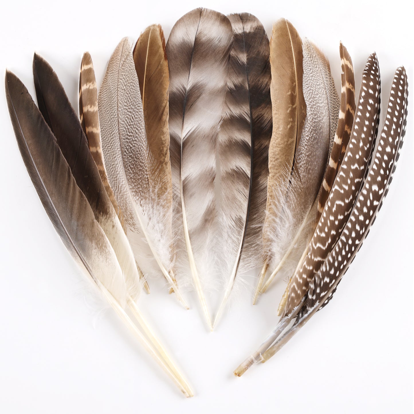 Natural wild bird feather combination 6-8 inches used for carnival parties, birthday parties, commercial bonfire parties, and decorative wild bird feather headpieces