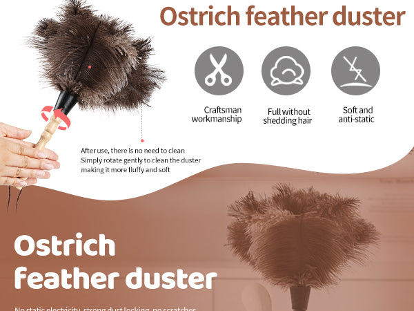 Ostrich beech lightweight and compact dust duster, a powerful tool for sweeping dust; Overseas explosive products