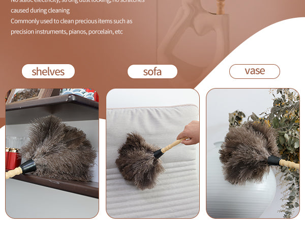 Ostrich beech lightweight and compact dust duster, a powerful tool for sweeping dust; Overseas explosive products