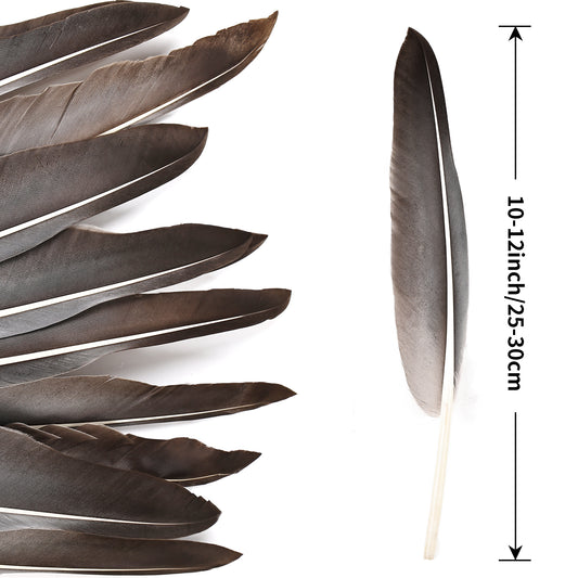 Wholesale Free Samples Natural 12pc Goose Pointers Wing Feathers for Carnival for Crafts Feathers
