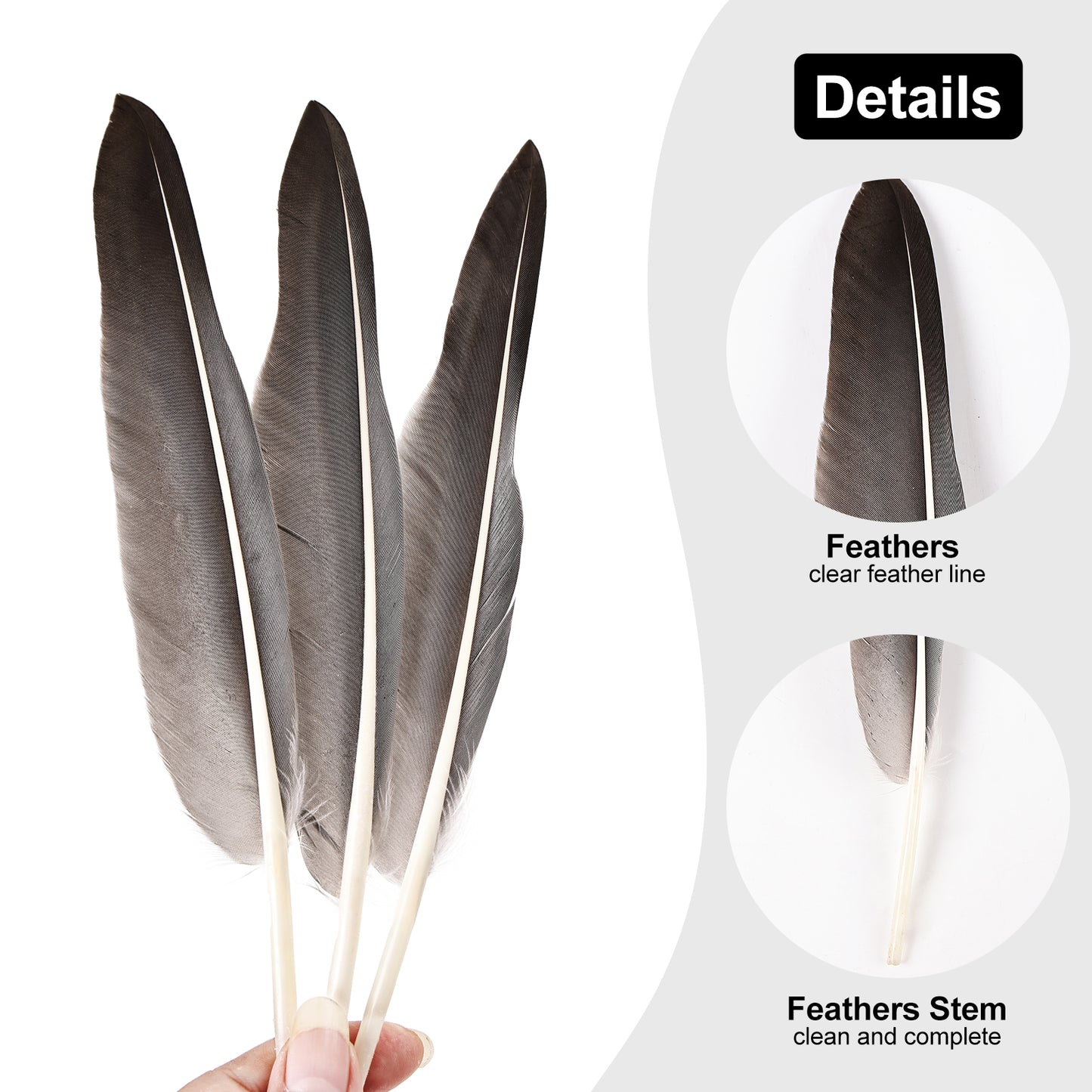 Wholesale Free Samples Natural 12pc Goose Pointers Wing Feathers for Carnival for Crafts Feathers