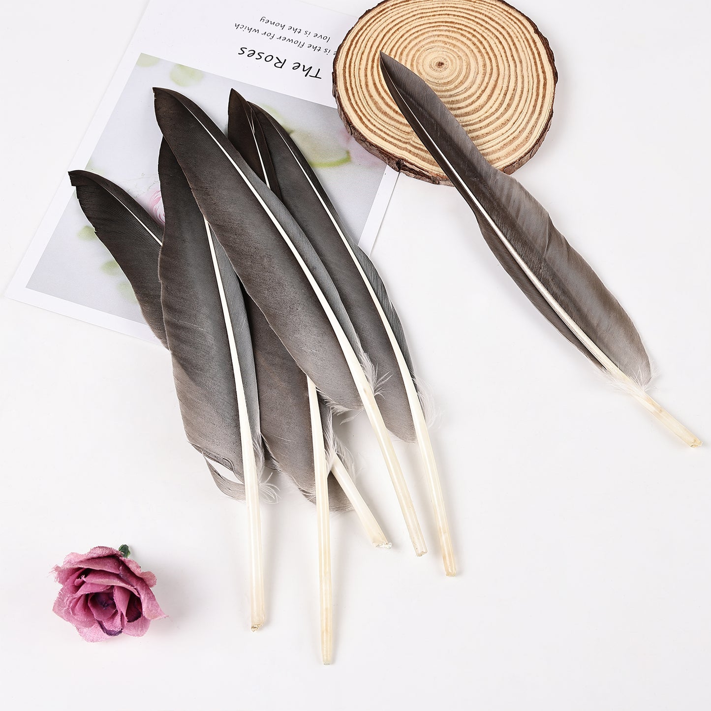 Wholesale Free Samples Natural 12pc Goose Pointers Wing Feathers for Carnival for Crafts Feathers