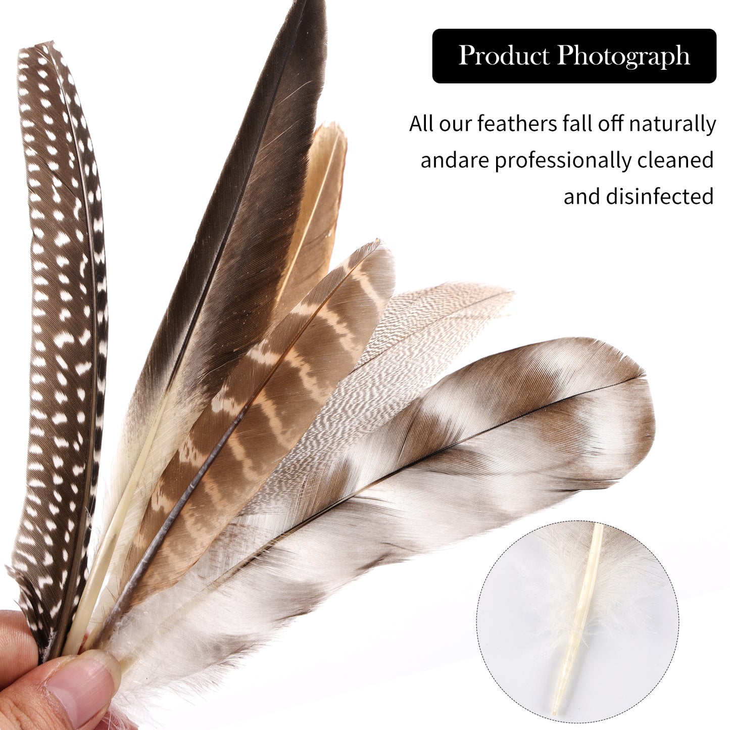 Natural wild bird feather combination 6-8 inches used for carnival parties, birthday parties, commercial bonfire parties, and decorative wild bird feather headpieces