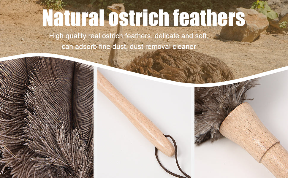 Natural ostrich duster is lightweight, compact, and has strong cleaning ability, suitable for household and car cleaning; They are all very good